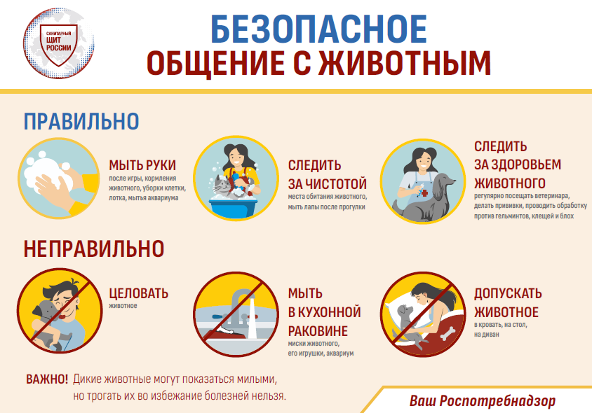 Изображения.